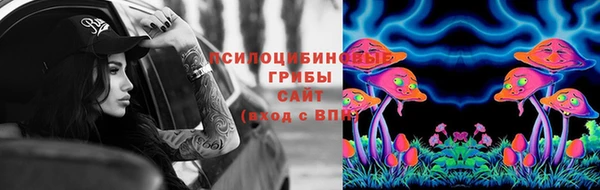 молекула духа Заводоуковск