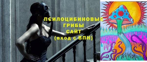 молекула духа Заводоуковск