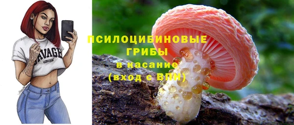кристаллы Заволжье
