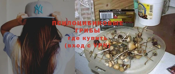 молекула духа Заводоуковск