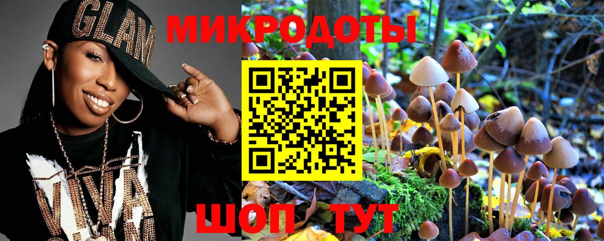 Псилоцибиновые грибы Cubensis Кстово