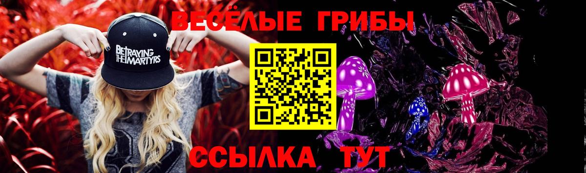 Кстово  Псилоцибиновые грибы Cubensis  Вход с VPN 