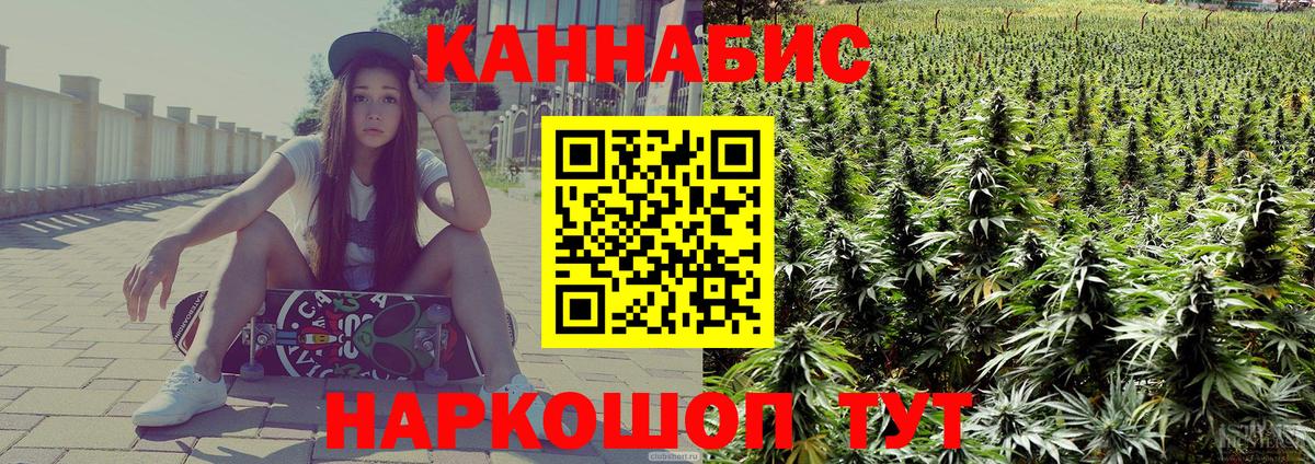 Бошки Шишки планчик  Вход с VPN  МАРИХУАНА SATIVA & INDICA  Кстово  Шишки марихуана план  Бошки марихуана семена 